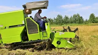 Rice Harvest With Combine Harvester In Iran
