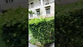 PGDAV College Delhi University || University of Delhi #pgdav #delhiuniversity #universityofdelhi #k