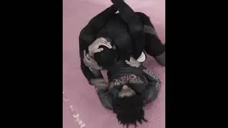 Element 47 - In Our Element - Brazilian Jiu Jitsu
