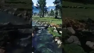 Kumrat Valley Pakistan ❤️ #shortvideo #video #trinding #foryoupage #grow