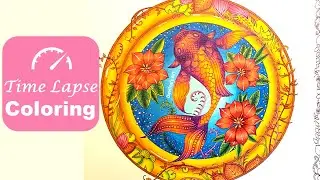 Time Lapse Coloring: Fish Pond and Flower in WORLD OF FLOWERS book by Johanna Basford