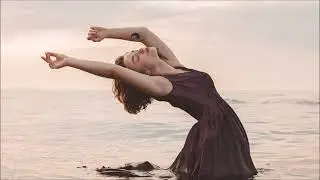 Synth Collective pres. Sunshine & Shade 02 [Melodic Progressive House]