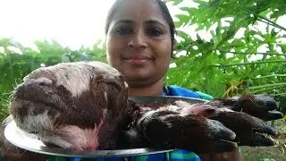 Amazing Goat Head's Curry Gravy Preparing Andra Style- Traditional Way Of Cook Lamb Head Leg Recipe