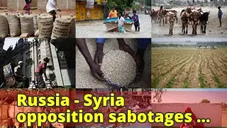 Russia - Syria opposition sabotages Geneva talks to ruin proposed national congress: TASS