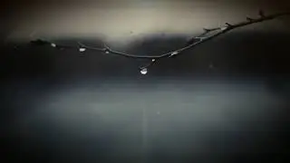 Sergey Gulevich - Memories