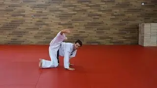14. HYONG - CHOONG-JANG (langsam) - Taekwondo Form