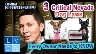 3 Critical Nevada Dog Laws Every Owner Must Know -- Top Nevada Injury Lawyer Explains