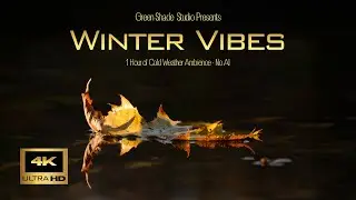 4K Winter Vibes - No AI Nature Ambience | ASMR - Focus & Concentration