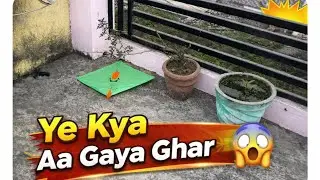 Makar Sankranti Ki Baaten Aur Achanak 😱 Ghar Aayi Patang 🪁