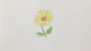 How to draw sunflower