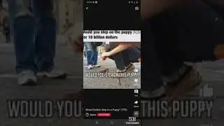 YouTube shorts were a fucking mistake