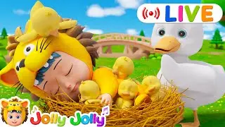 LIVE🔴Counting Animals | Five Little Ducks, Ants Go Marching + More | Jolly Jolly - Best Kids Songs!