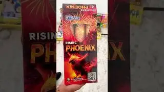 Mercury Phoenix Skyshot Testing 🔥 | Diwali Crackers 2025 #skyshot
