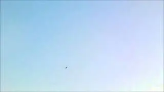 RCLander Rafale.wmv