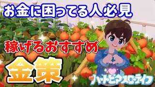 【ハートピアスローライフ】序盤からできるおすすめ金策方法【Heartopia】