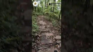 Черная гора (Верхняя), часть 2 - Национальный лес Писга, Бревард, Северная Каролина. Велосипедное...