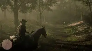 Red dead redemption 2 episode 17