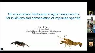 SNRE Seminar | Microsporidia in freshwater crayfish | Sara Bold | Spring 2026