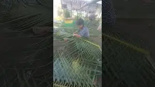 weaving coconut leaf