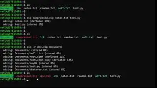 Compression with gzip bzip2 zip and Decompression with gunzip bunzip2 unzip - Linux Course