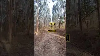 PEDAL VOLTAR DA MATINHA #pedal #xoss #bike #ciclismo #xossbikecomputer #gopro #xossnav #mtb