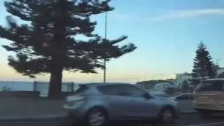 Bondi Markets Fun!