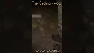 #army#haunted#video#realhorror#voice#haunted#forest#real#voice#theordinaryvlog
