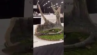 Have you ever seen a antler and wing one call like this? #hunting #hunt #art #artist #hunter #archer