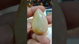 fossil Coral stone 03218910568