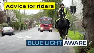 Blue Light Aware Short 12 - Advice For Horse Riders