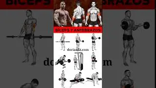 🔝MEJORES EJERCICIOS para B&Iacute;CEPS y ANTEBRAZO en el GIMNASIO