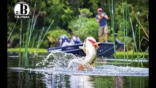 Tbuymax Fishing Lure Spinnerbait