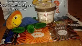 September 2017 Mini Monthly Dog Box of Awesome Unboxing