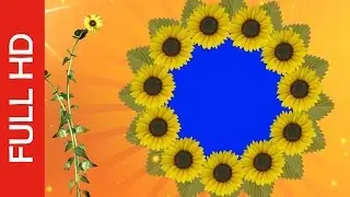 Wedding Video Background Free Download