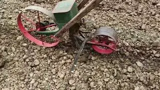 semis de mais, choux et betterave fourragère