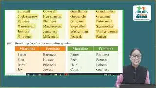 Ch 5 | Fun Buddy Books | Grammar | Class 4 | Gender | For children