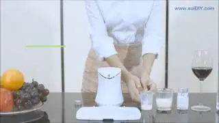 Mini SUI DIY Fruit Mask Making Machine