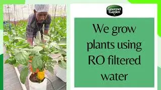 Gourmet Garden: Naturoponic Farming | Freshest Veggies in Town