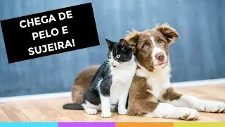 COMO LIMPAR A CASA TENDO PETS (CACHORRO OU GATO) DICAS FUNCIONAIS E SEGURAS! Organize sem Frescuras!