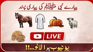 Beloved Prophet ﷺ Favorite Things | Sunnah Lifestyle | Islamic Bayan Live