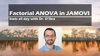 Run that stat : Factorial ANOVA in JAMOVI