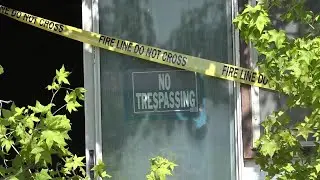 Marshfield authorities are looking for a suspected arsonist