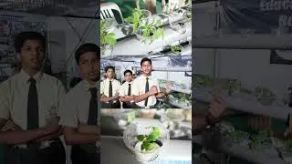 Plants Without Soil #hydroponics #educationexpo2022 #UrduMela #Aurangabad