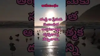 అనుబంధం#youtubeshorts #ytshots #NSshorts83#shorts#teluguquotations