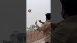 Star kite #shortsviral #shorts #kiteflying #bigkite #vibes