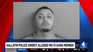 Search warrant leads to drug bust, arrest of alleged MS-13 gang member in TN