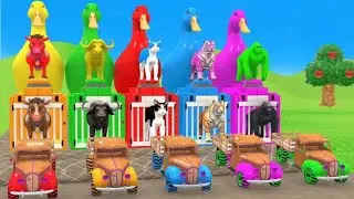 Epic Animal Race! 🦁 Gorilla vs Tiger vs Cow 🏁 3D Monster Truck & Water Slide Challenge for Kids