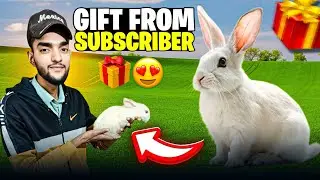 A Cute 🥰 Rabbit 🐇 Gift From Subscriber ❤️