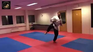 Dahnjun Taekwondo Klubb