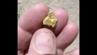 SPEED PANNING FOR GOLD in just 60 seconds !!!